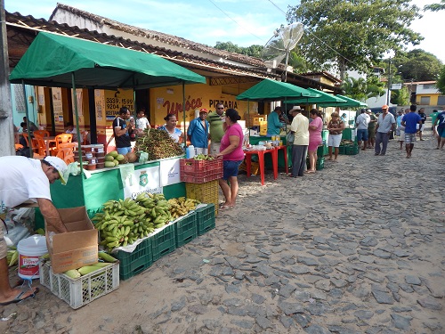 SDA e Ematerce entregam certificados de cadastros de produtores orgânicos, em Palmácia