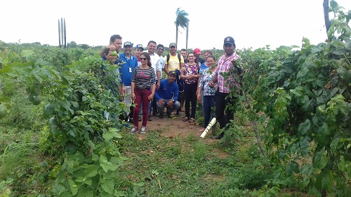 Produtor de maracujá é beneficiado com programa de fomento