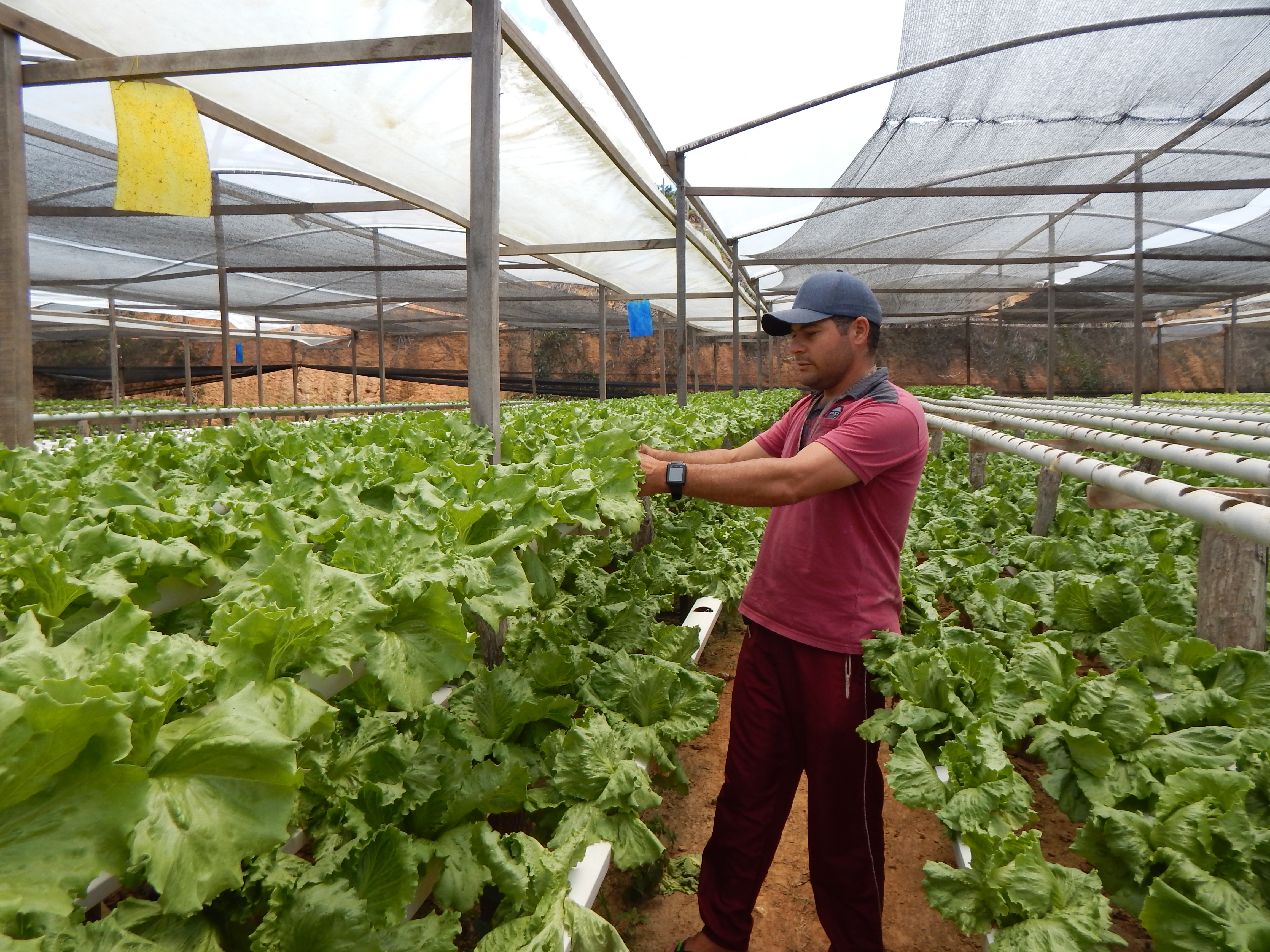 Ematerce mostra realizações com os produtores familiares em 2018