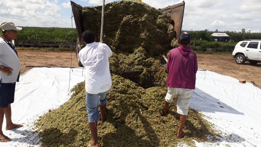 Ematerce Zona Norte intensifica orientação a produtores sobre ensilagem e vermifugação