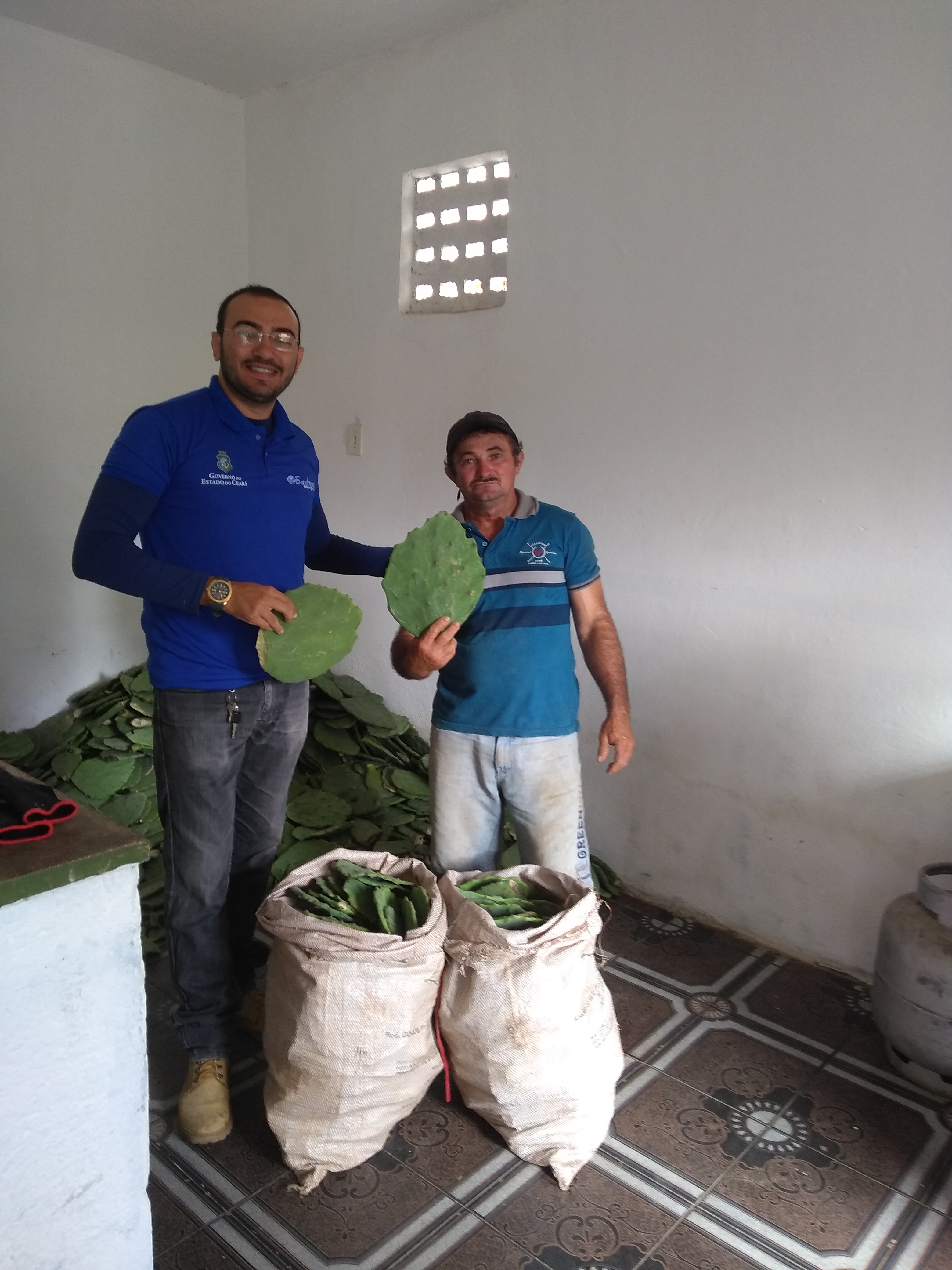 Escritório de Ematerce em Frecheirinha realiza distribuição de raquetes e implantação de palmas