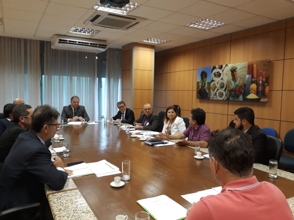 Asbraer e Ematerce participam de encontro com secretário do MAPA em Brasília