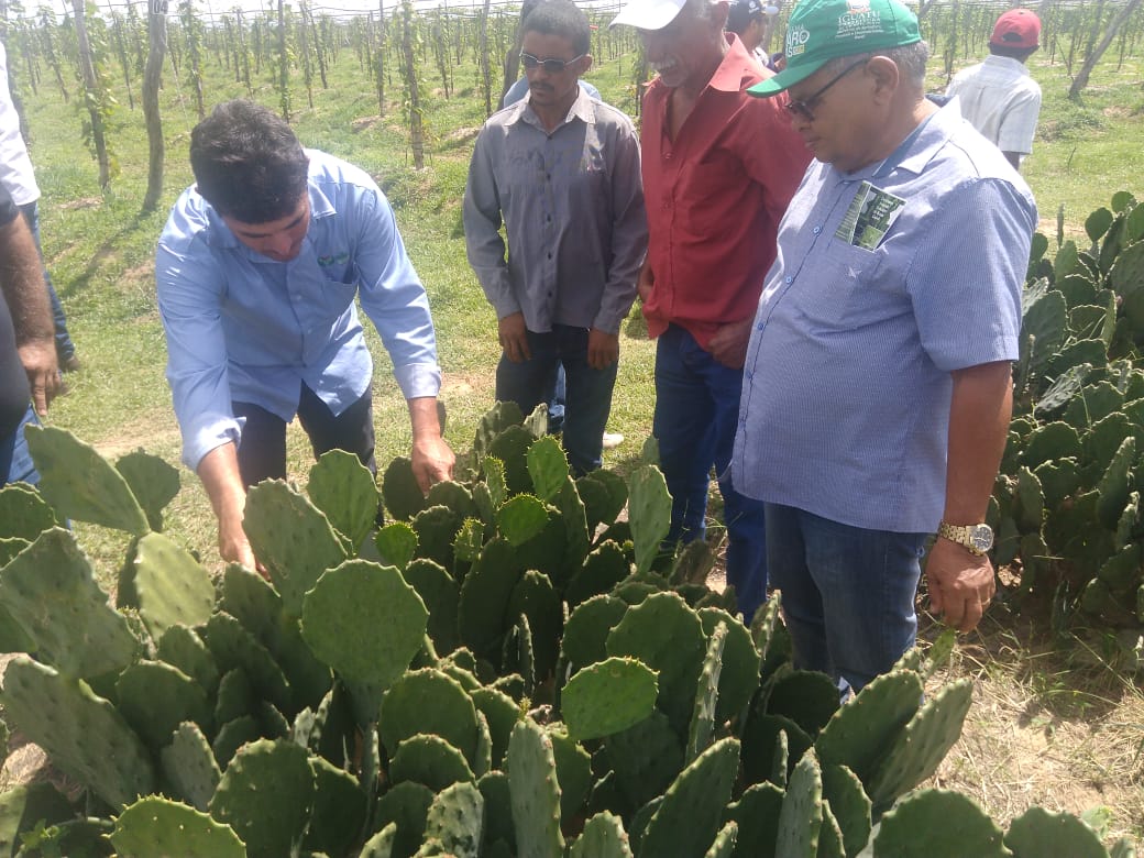 Iguatu: Ematerce e Secretaria Municipal de Agricultura promovem excursão