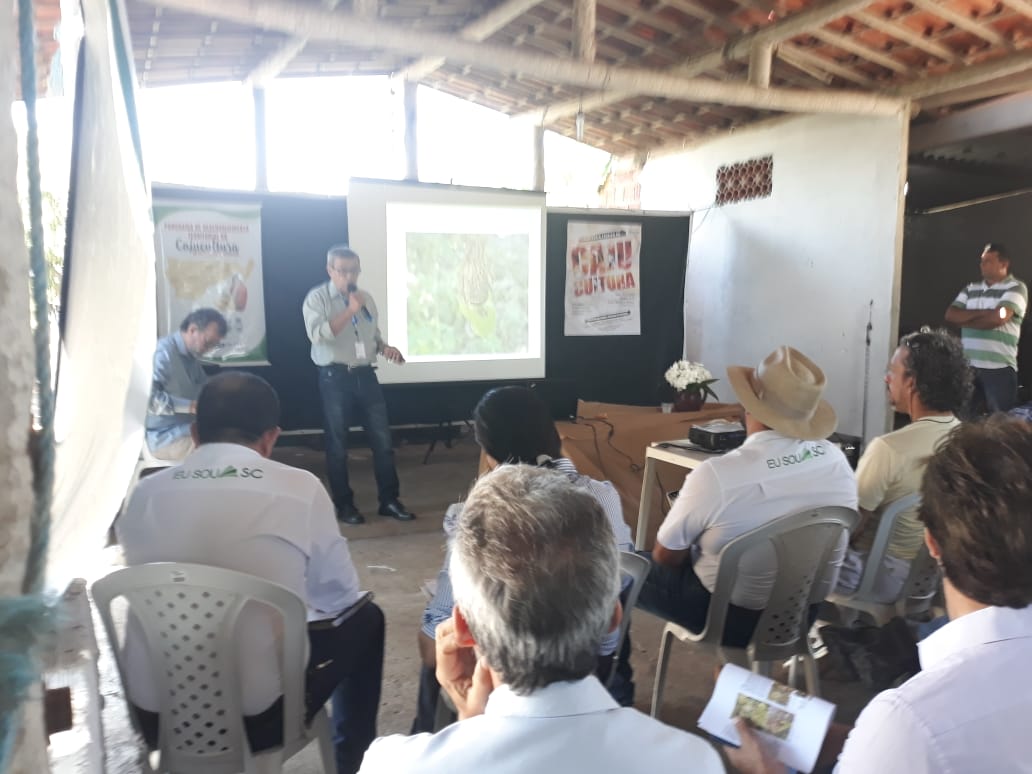 Ematerce participa de seminário sobre cajucultura em Fortim-CE