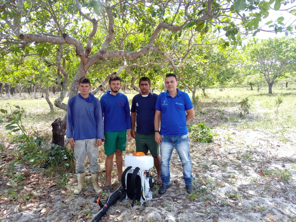 Ematerce incentiva uso da manipueira no combate ao oídio nos cajueiros