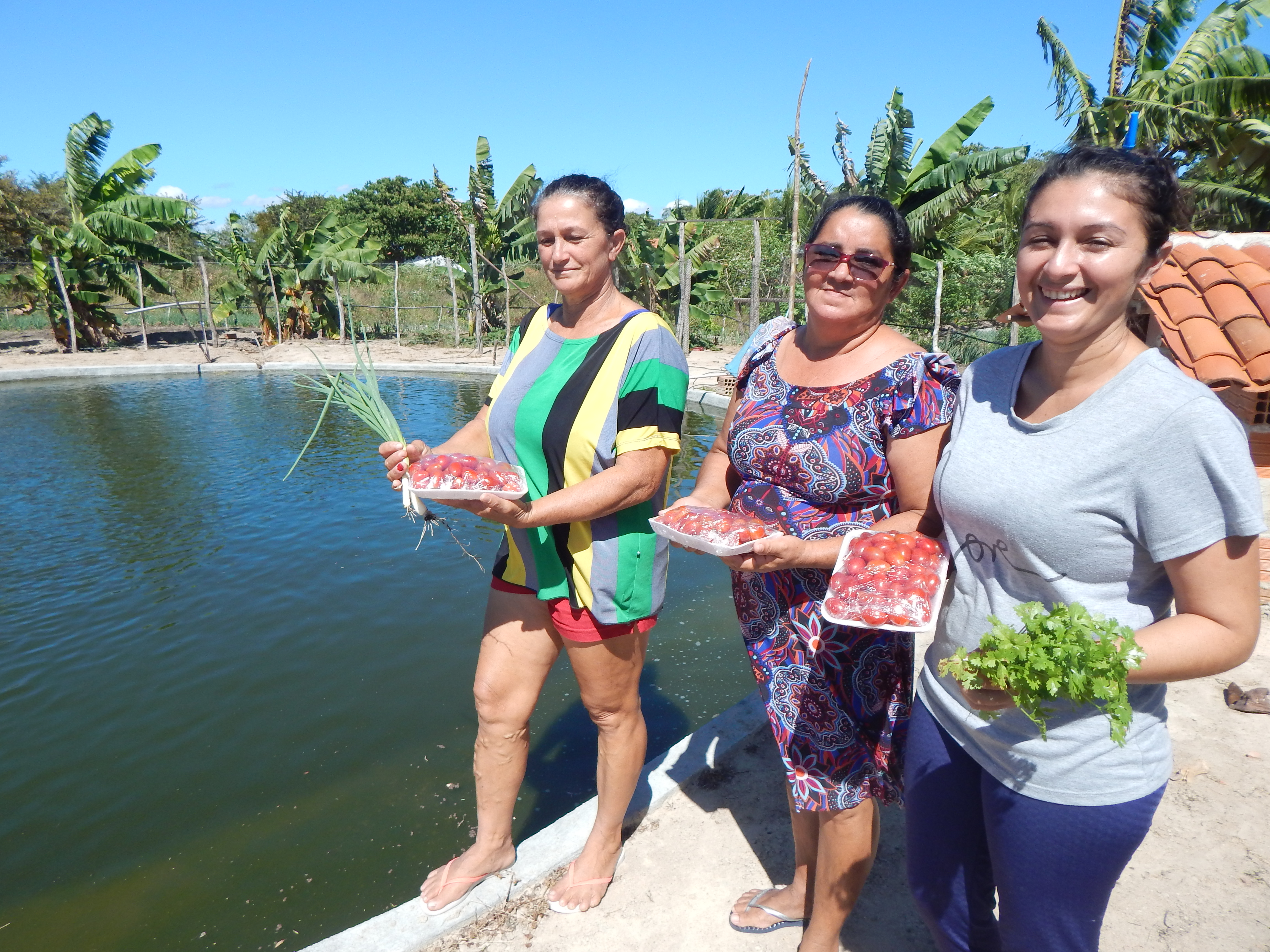 Fomento Mulher incrementa produção em assentamento de Itapipoca-CE
