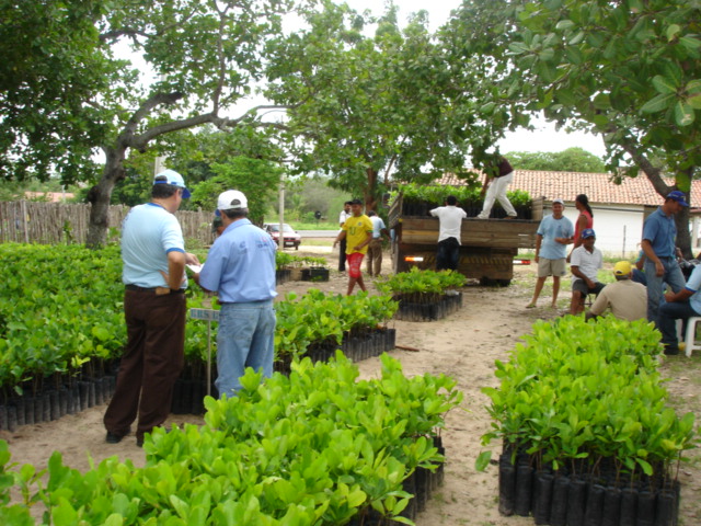 Agricultores de Barreira-CE discutem sobre agricultura familiar
