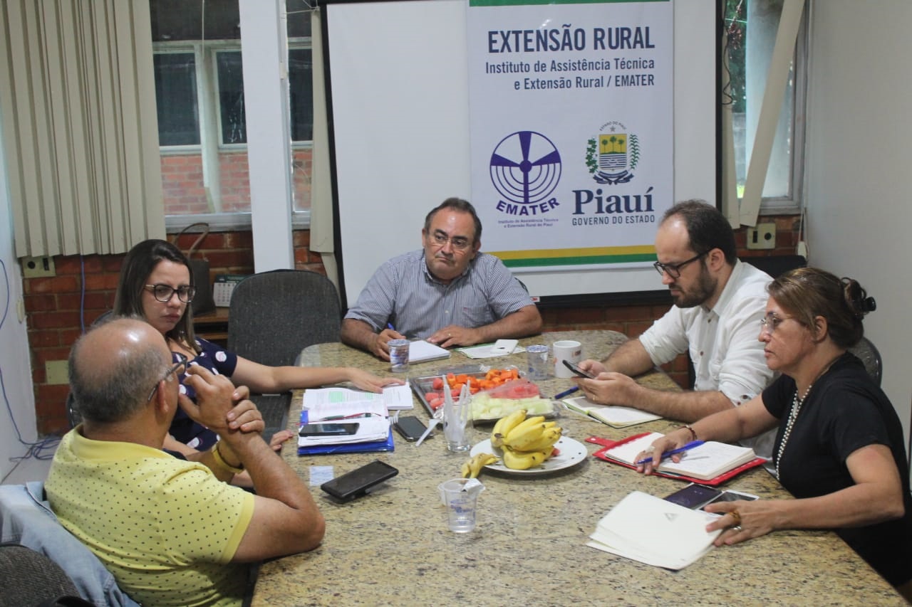 Ematerce: presidente participa de reunião na cidade de Teresina