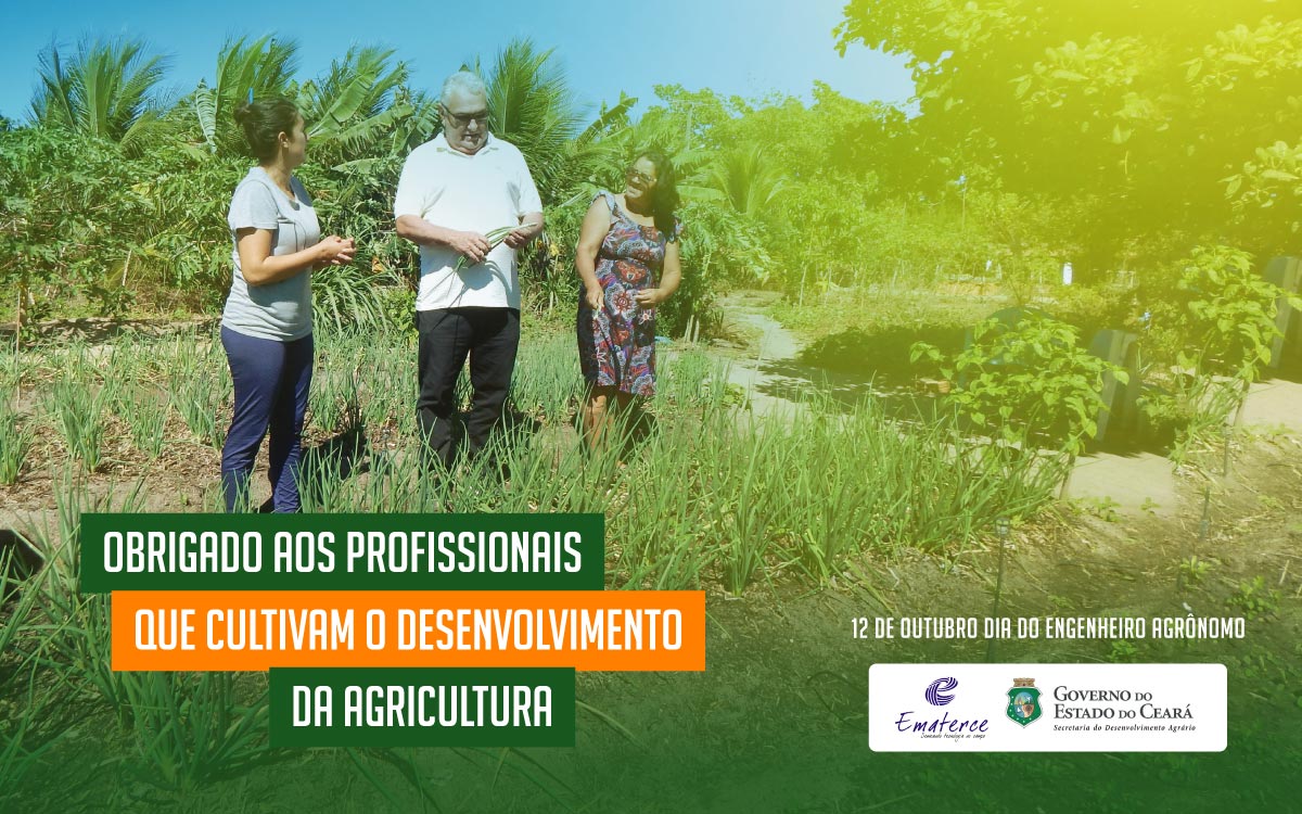 Ematerce homenageia pelo Dia Nacional do Engenheiro Agrônomo