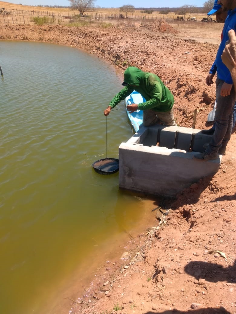 Crato: Ematerce participa de intercâmbio técnico na área de piscicultura