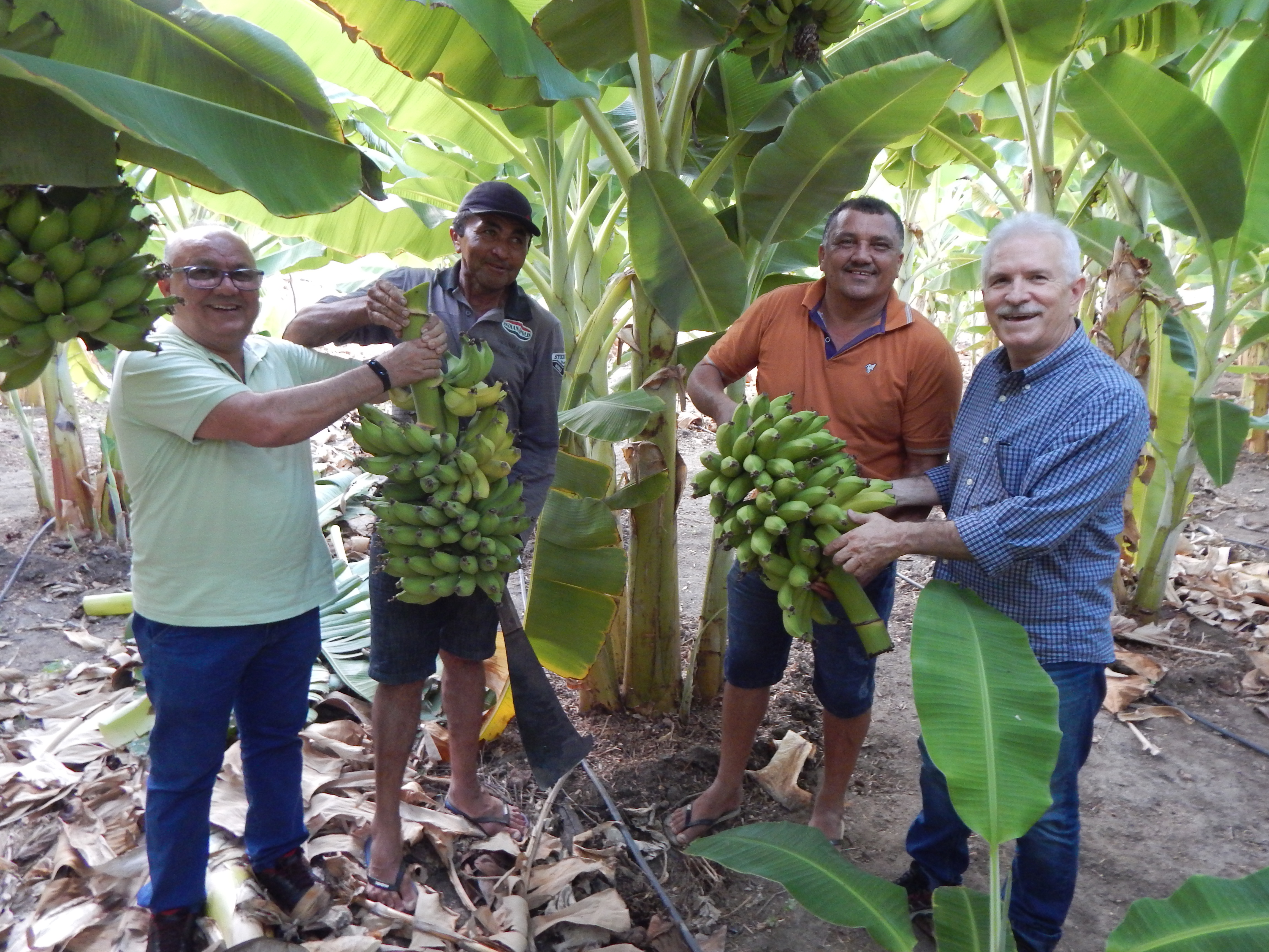 Ematerce promove encontro sobre plataforma de Rastreabilidade Agrícola