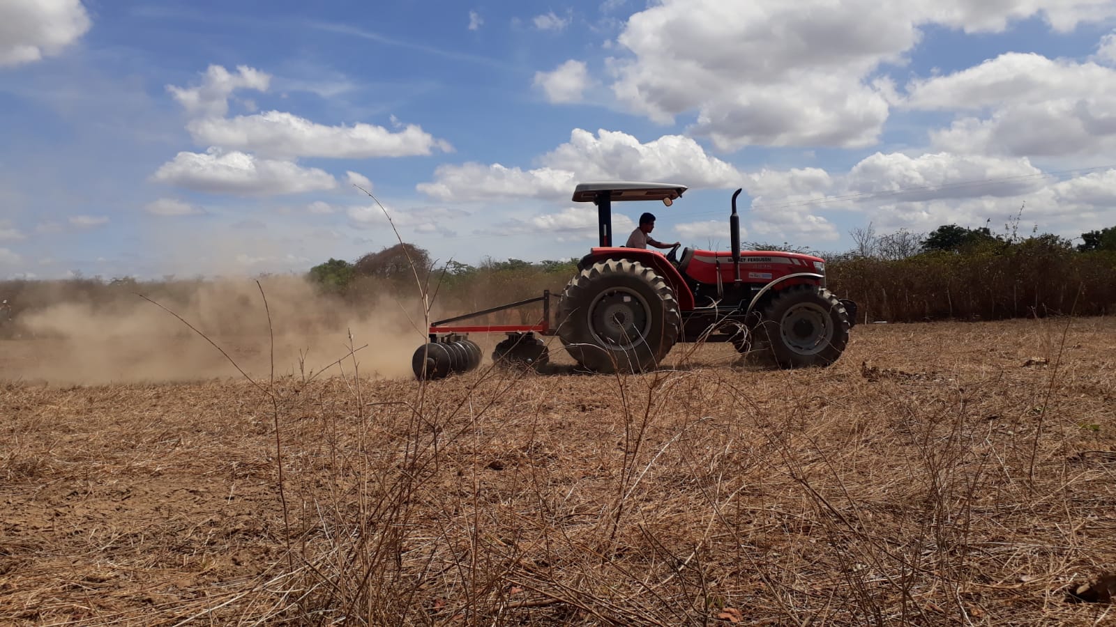 Ematerce e Senar treinam agricultores e técnicos em Coreaú-CE