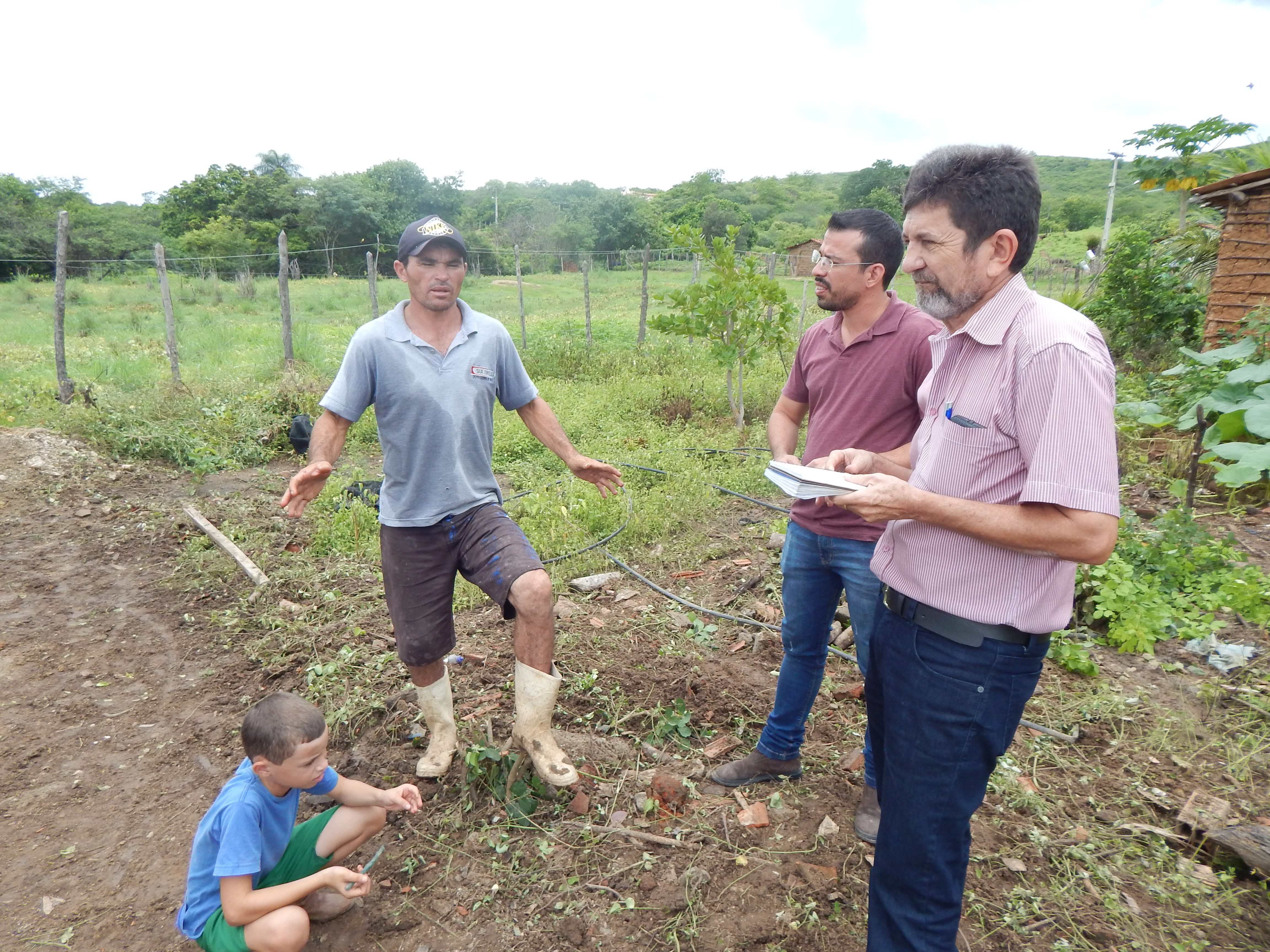 Suinocultura incrementa produção em Dom Quintino e Sítio Espinho