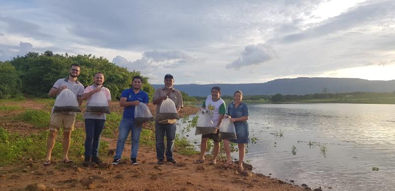 Frecheirinha: Ematerce e prefeitura distribuem alevinos do Projeto Peixamento.