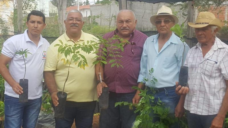 Iguatu: agricultores familiares recebem mudas frutíferas e raquetes de palma forrageira