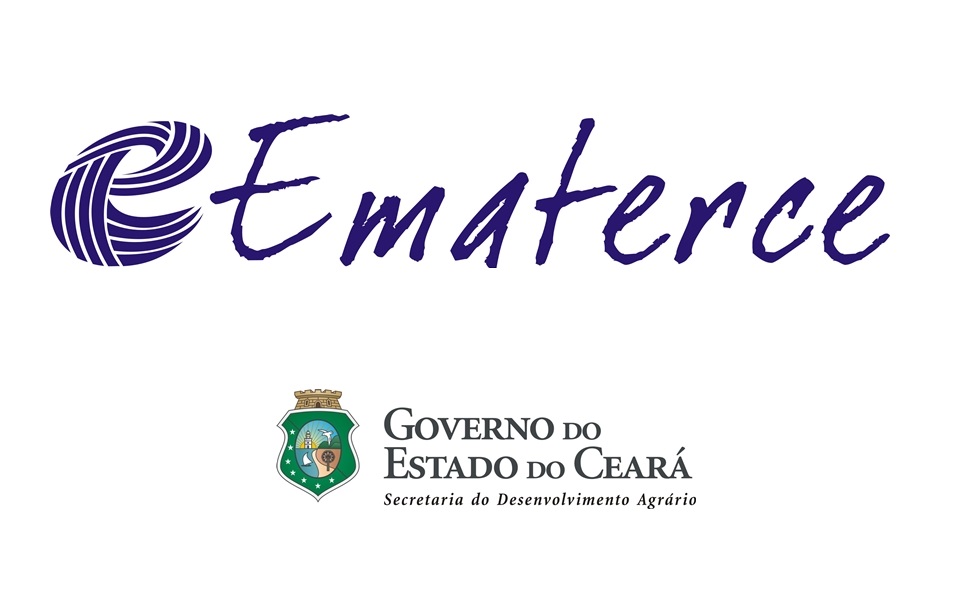 Ematerce divulga calendário de atendimento e plantonistas online