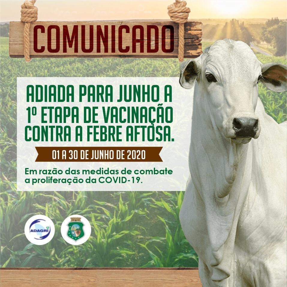 Primeira etapa da campanha contra a febre aftosa no Ceará é adiada para junho