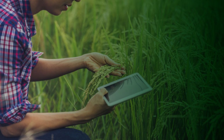 Ematerce realiza primeiro atendimento online para agricultores e técnicos