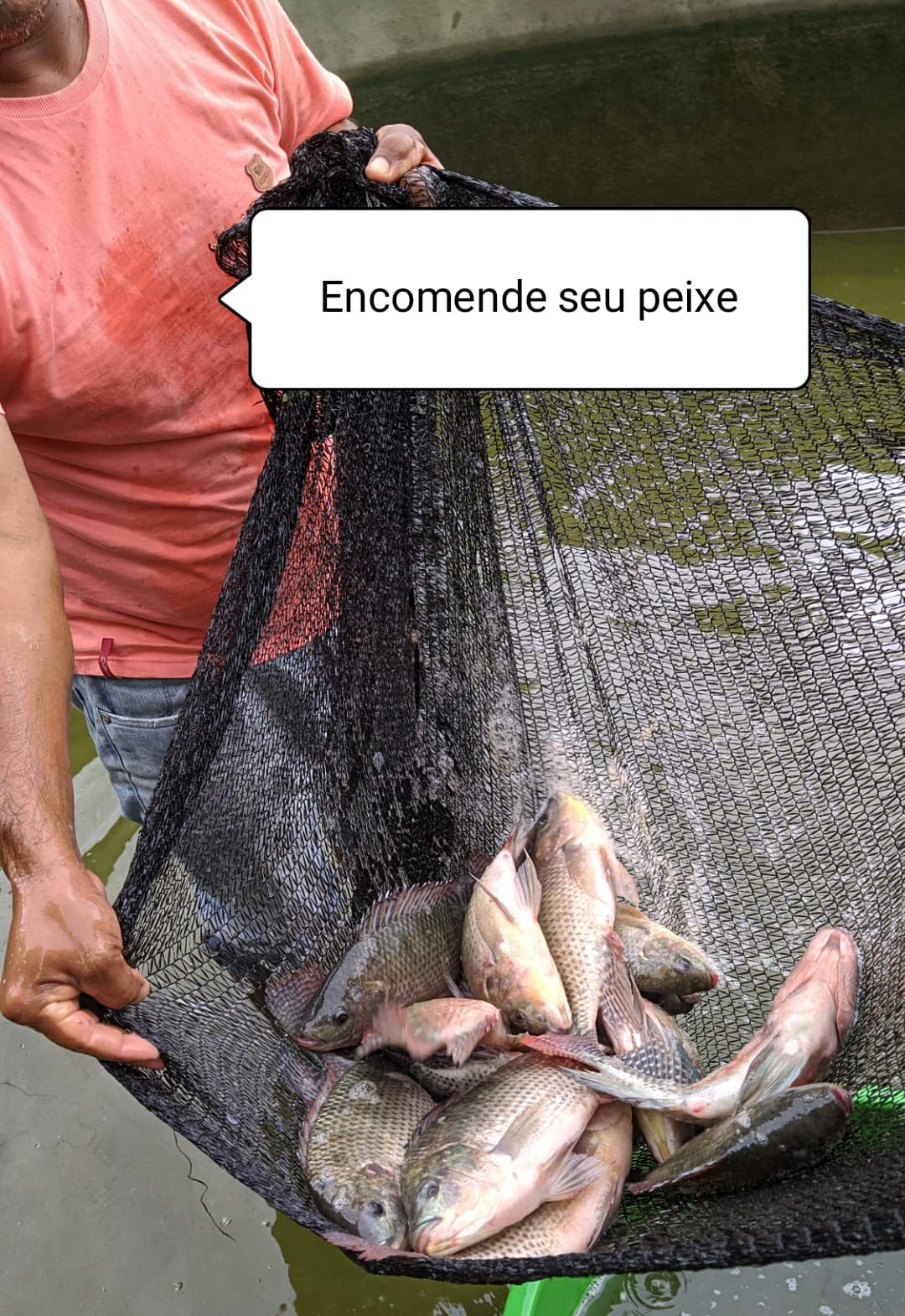 Crato: Ematerce mobiliza técnicos e produtores para organizar vendas online