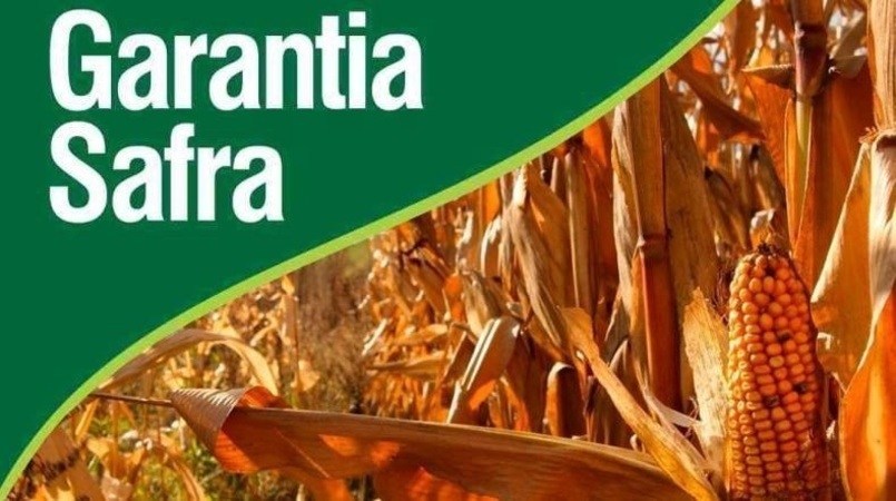 Reunião planeja ações para o Garantia Safra 2020/2021