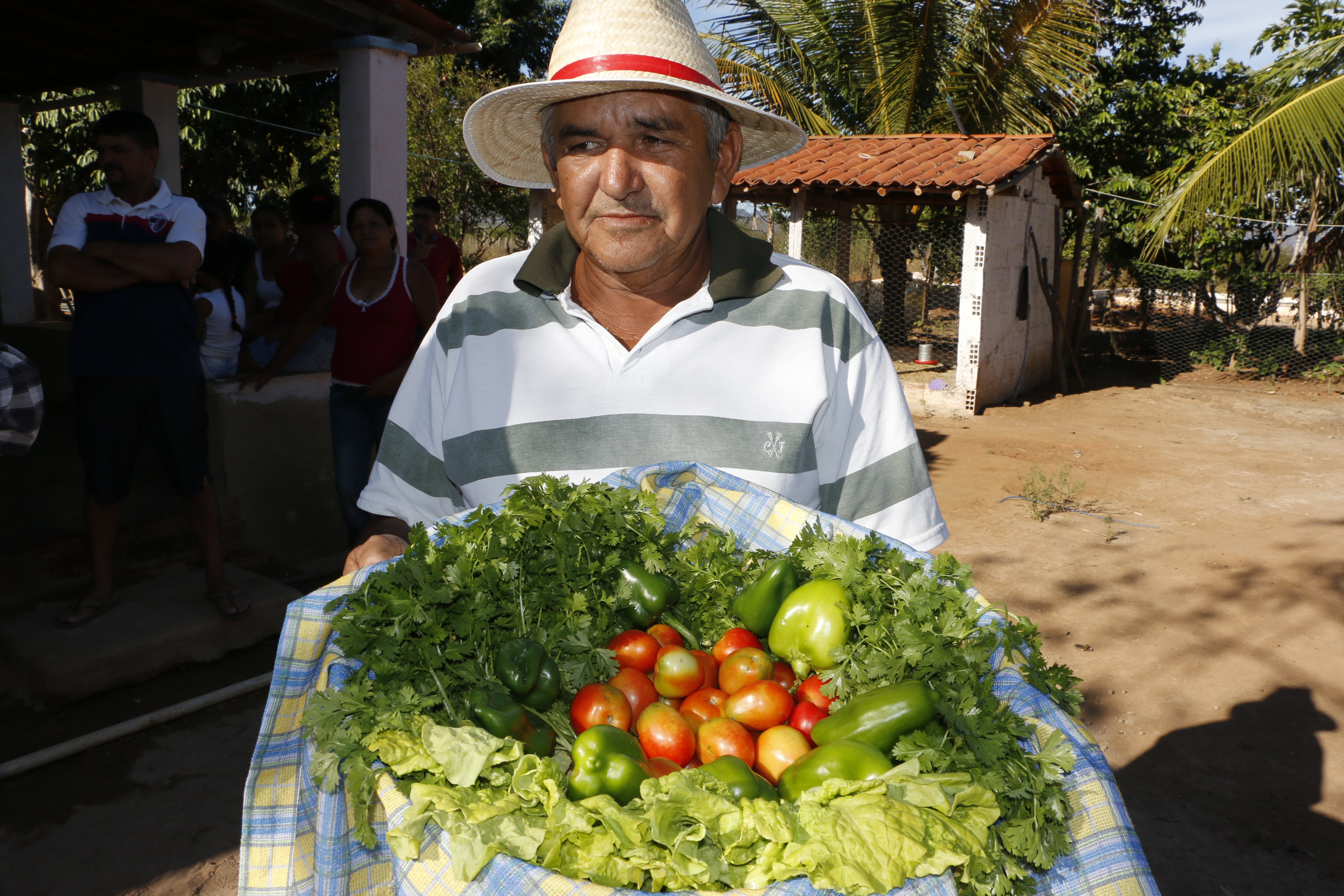 SDA lança portal para facilitar comercialização de produtos da agricultura familiar