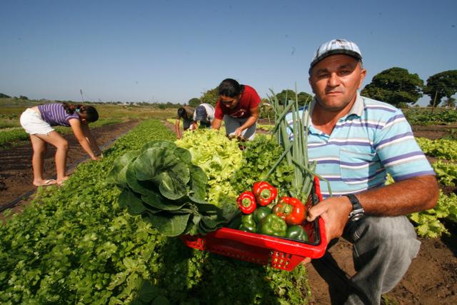 Ematerce destaca ações no Dia Internacional da Agricultura Familiar