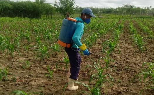 Ematerce orienta agricultores na prática da desinfestação de equipamentos agrícolas