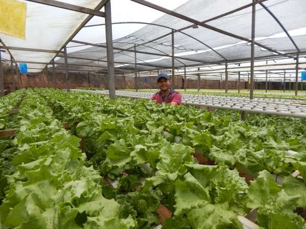 Governo do Ceará assegura R$ 8,55 milhões para realização do PAA Alimentos