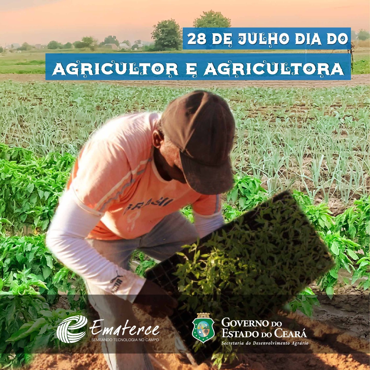 EMATERCE: OBRIGADO, AGRICULTORES E AGRICULTORAS DO ESTADO  DO CEARÁ
