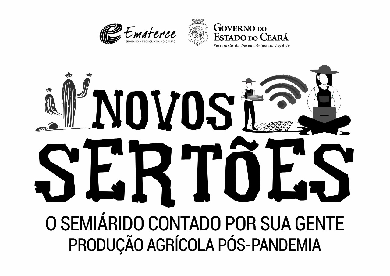 Mel: Ematerce de Tabuleiro aposta em experiência colaborativa para vencer crise