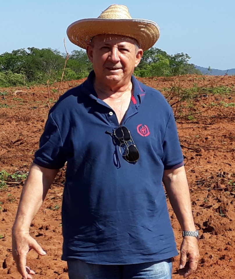 Ematerce: assessor de oleaginosas elabora documento sobre controle de pragas do algodão