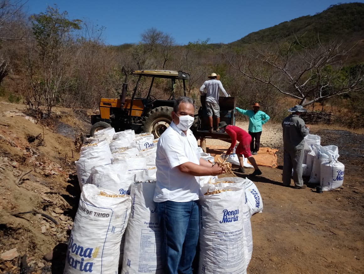Ematerce orienta produtores de Caririaçu-CE a praticarem  consórcio fava e milho híbrido