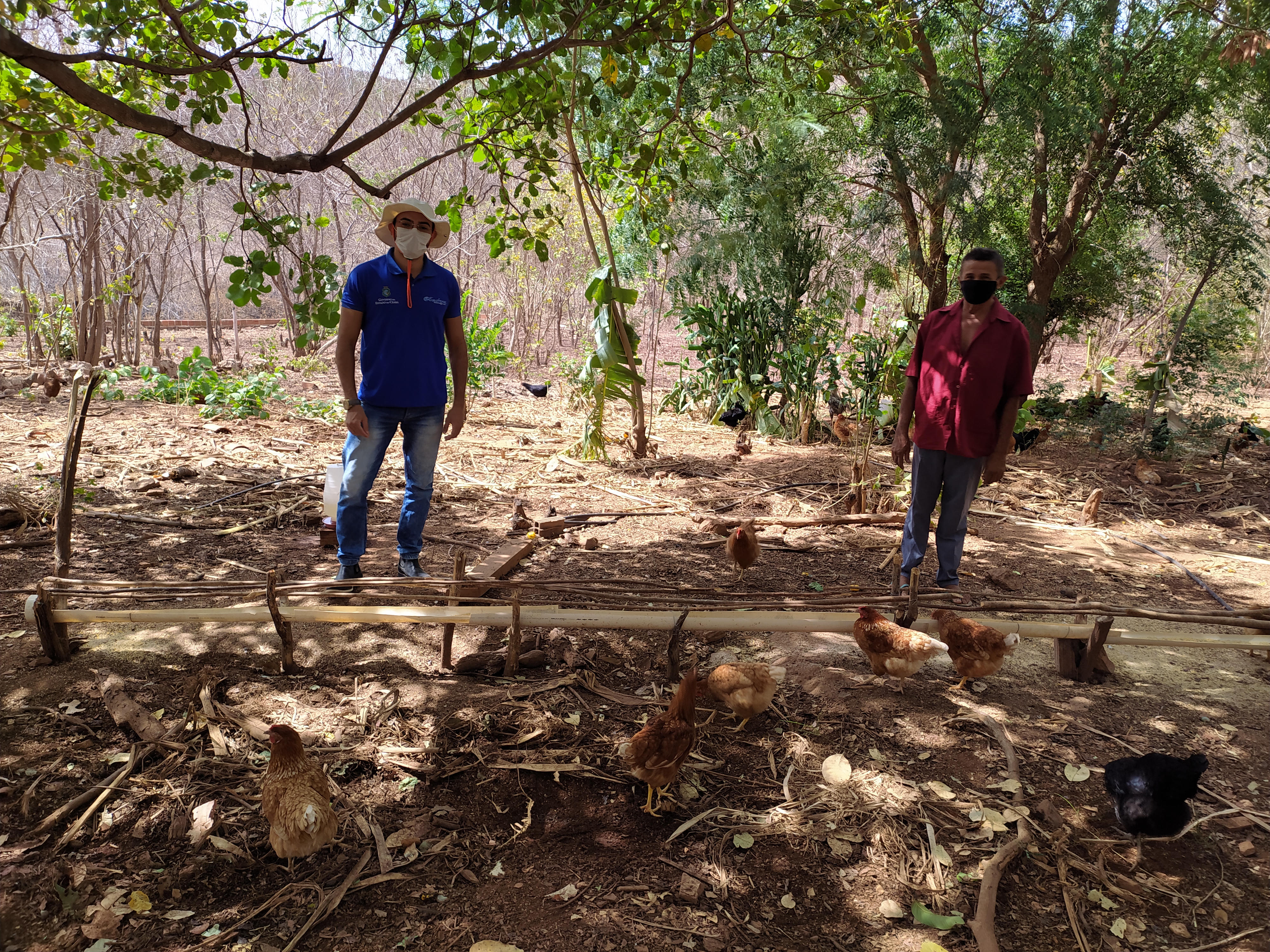 Santana do Acaraú: Ematerce realiza acompanhamento de produtores junto com cooperativa