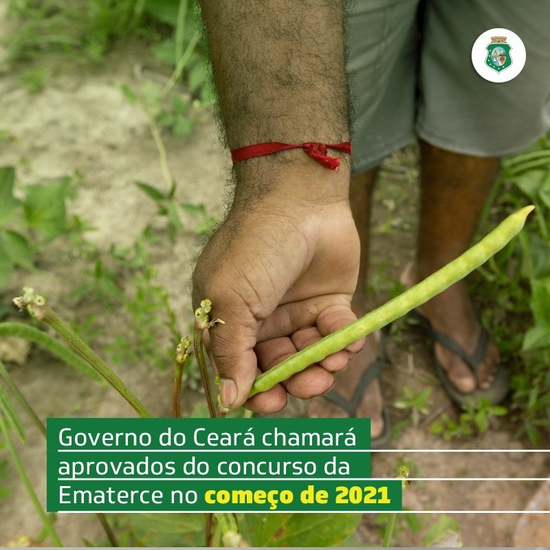 Ematerce: Governo do Ceará convocará concursados no início de 2021
