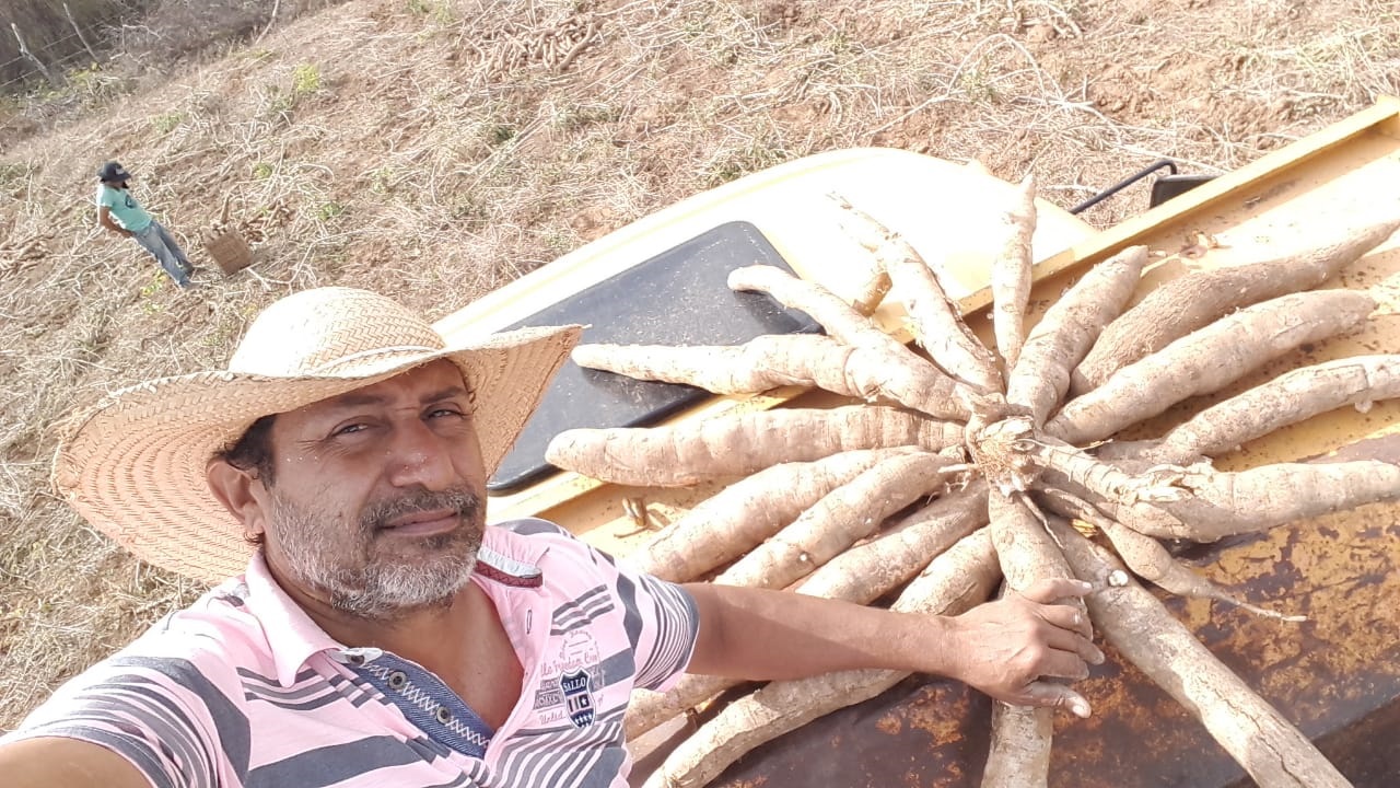 Altaneira-CE: Ematerce orienta cultivo e aproveitamento da Mandioca