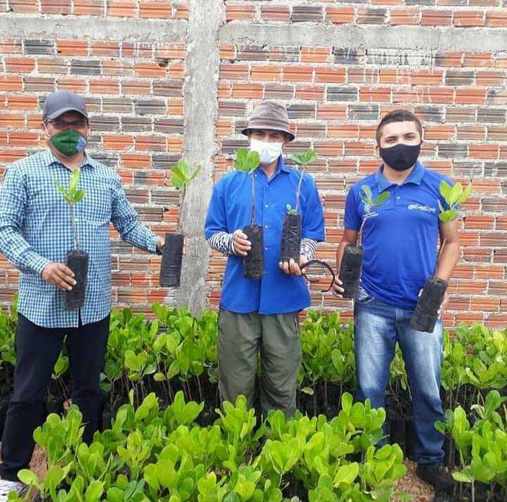 Mudas do Hora de Plantar são entregues em Altaneira, Nova Olinda e Santana do Cariri