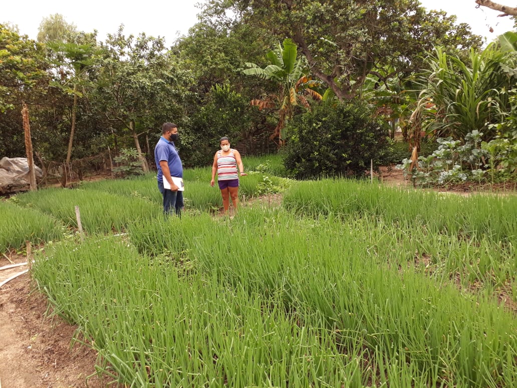 Alcântaras-CE: Ematerce orienta produção de hortaliças e peixes.