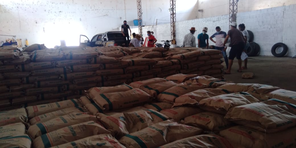 Lavras das Mangabeira-CE:Ematerce entrega sementes selecionadas do “Hora de Plantar.