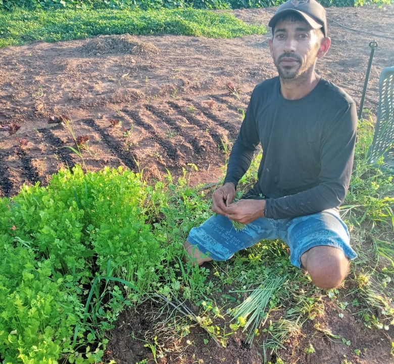Cedro: Ematerce desenvolve ações impactantes do Projeto Pimp e do Programa Hora de Plantar