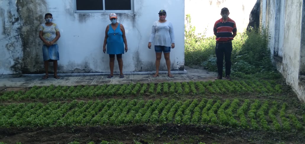 Milagres-CE: Ematerce cede área em escritório para plantio de hortaliças.