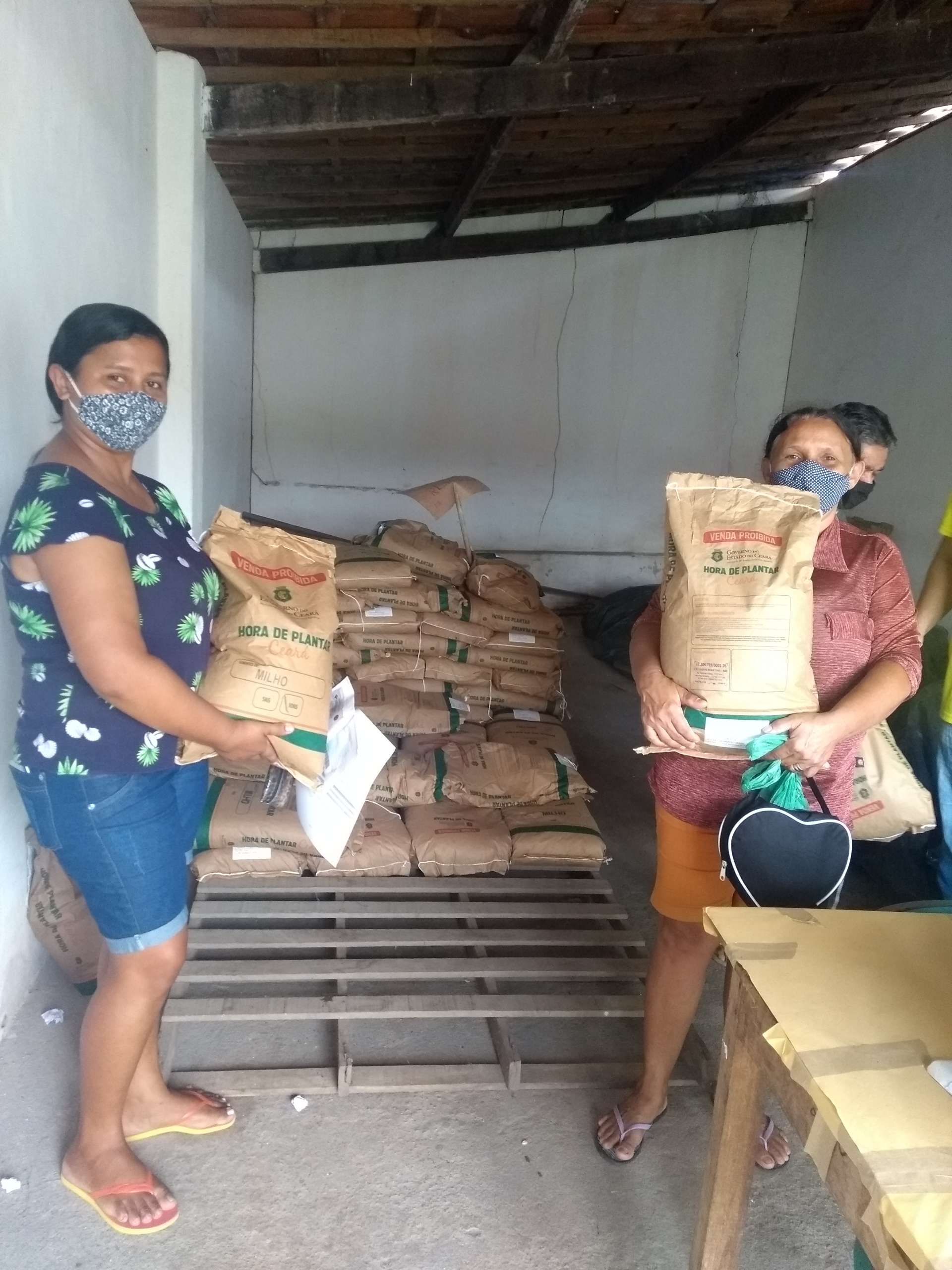 Hora de Plantar: Produtores de Redenção-CE, Acarape-CE e Barreira-Ce recebem sementes