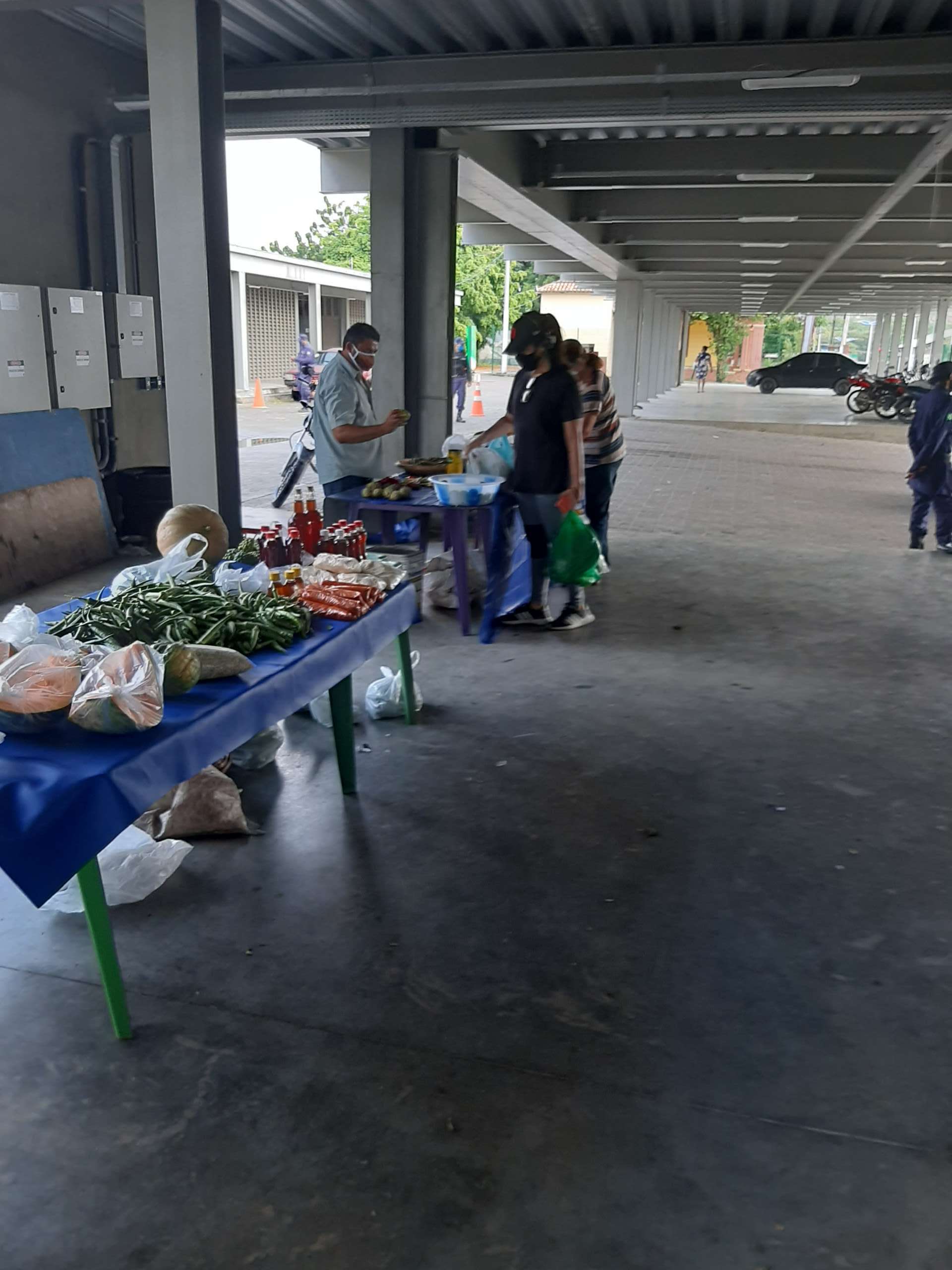 Crato-CE: Ematerce e Fida/Caatinga realizam live sobre atendimento remoto