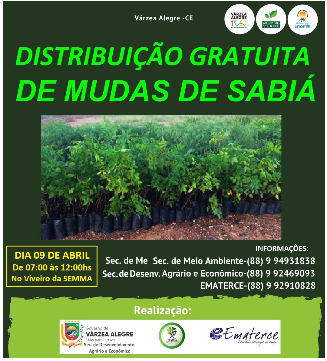 Várzea Alegre-CE: Ematerce e município distribuem mudas de sabiá para reflorestamento