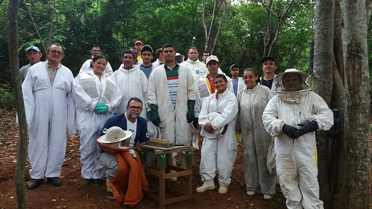 Ematerce: diretoria parabeniza apicultores pelo dia especial e divulga atividades
