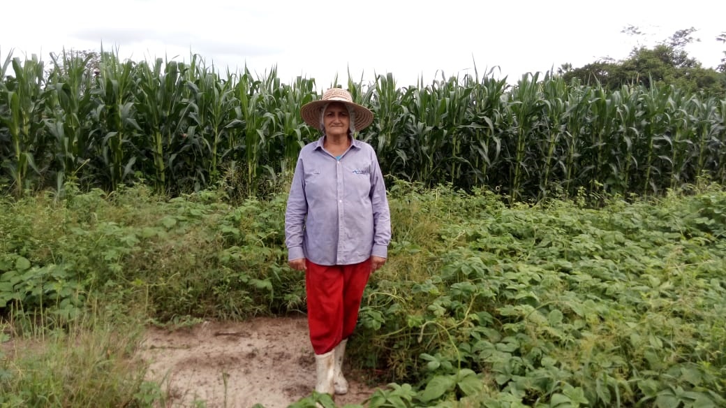São João do Jaguaribe: Projeto PIMP melhora condições de vida de agricultores familiares