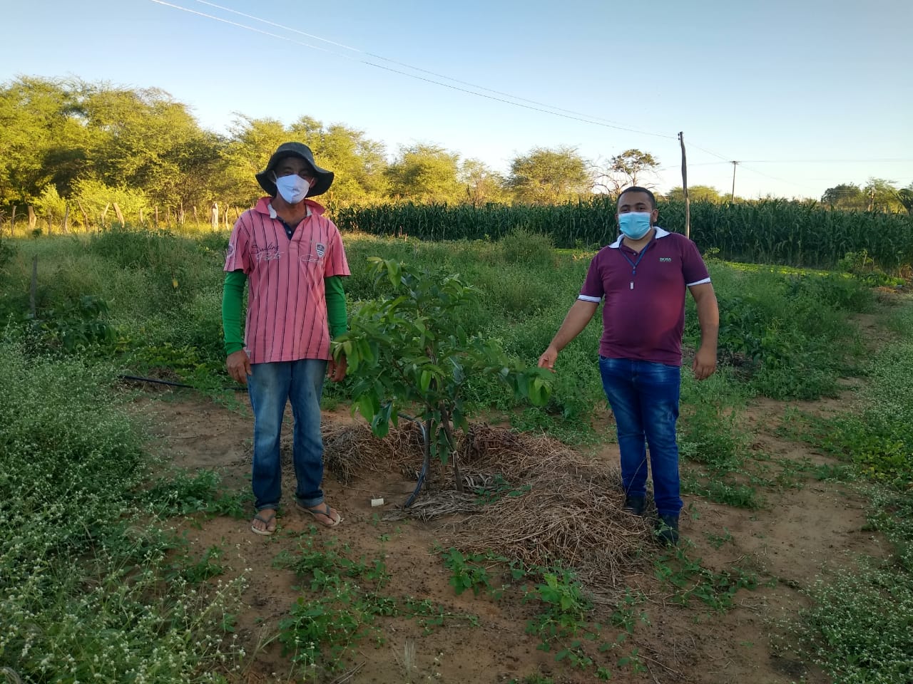 Agricultor de Tauá-CE agradece aos técnicos da Ematerce pela melhoria da renda