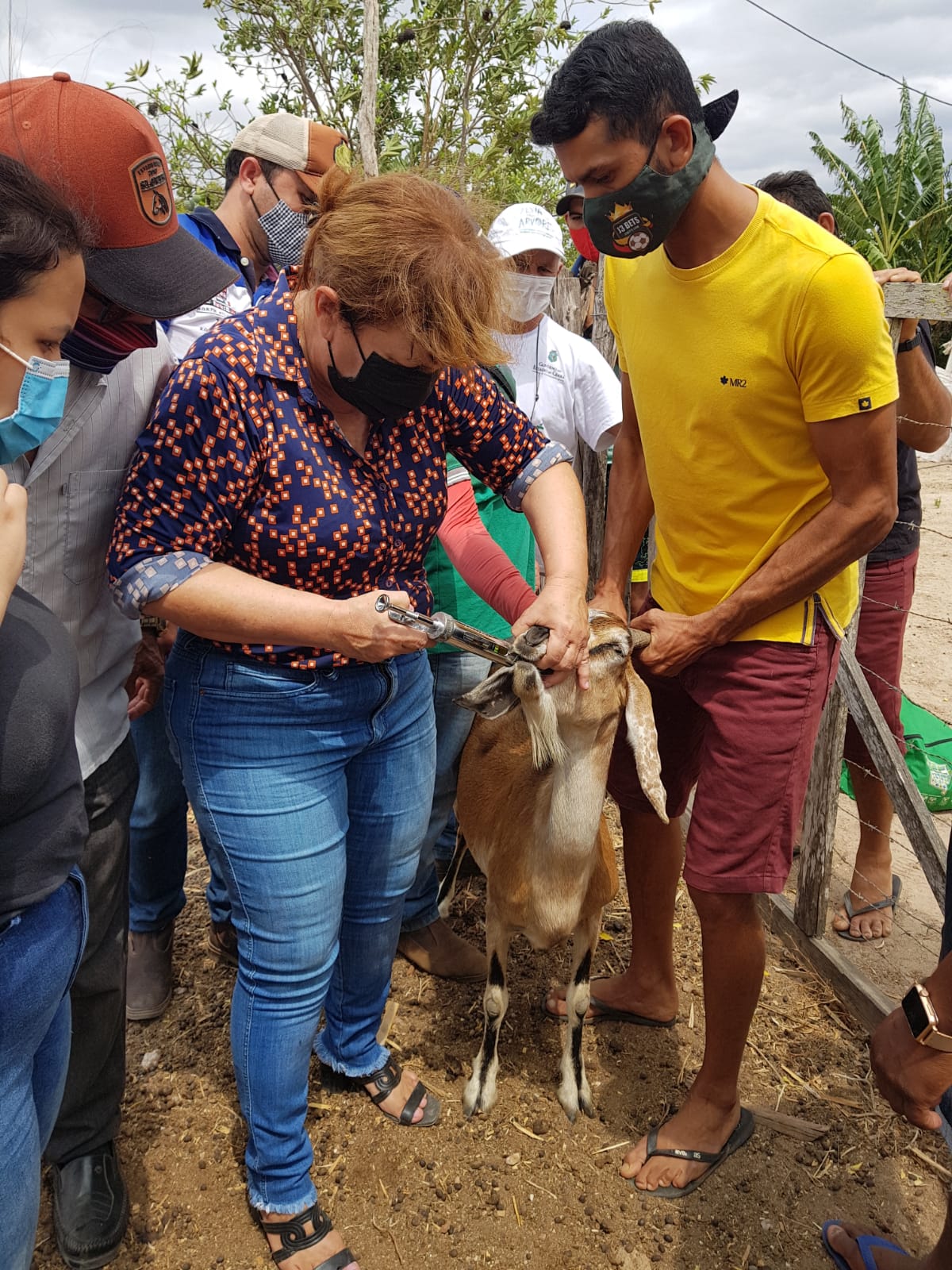 Ematerce ministra curso sobre ovinos e caprinos em General Sampaio-CE