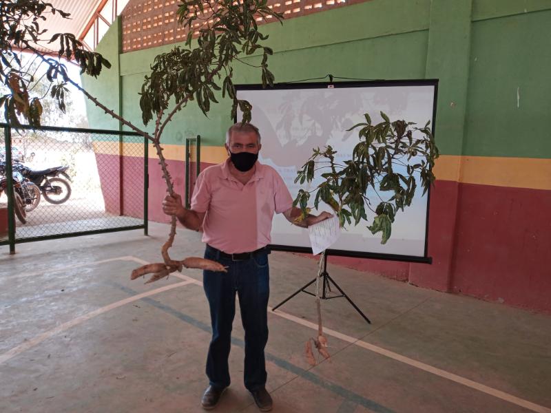 Salitre-CE: Ematerce capacita agricultores familiares da cadeia produtiva da mandioca