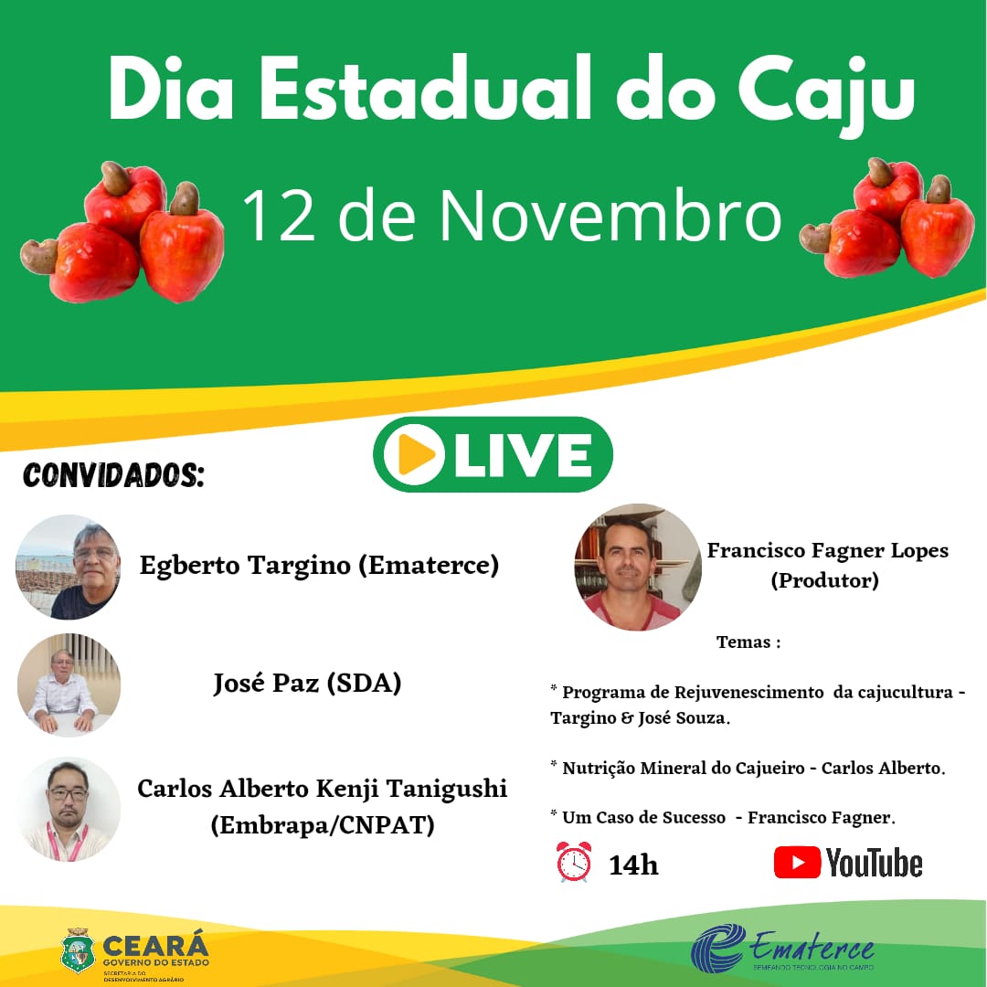 Ematerce, SDA e órgãos parceiros promovem teleconferência no Dia Estadual do Caju