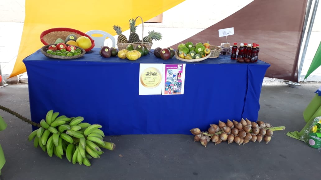 Ematerce participa com produtos na I Exponova em Nova Olinda-CE